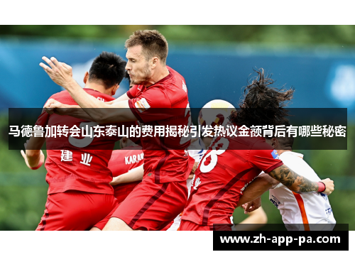 马德鲁加转会山东泰山的费用揭秘引发热议金额背后有哪些秘密 马德鲁加转会山东泰山的费用揭秘引发热议金额背后有哪些秘密