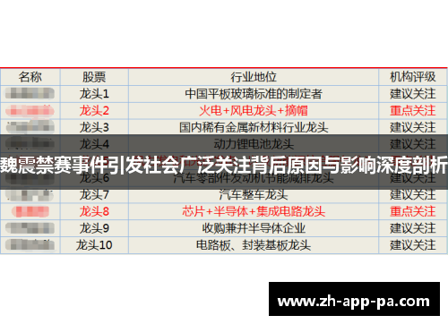 魏震禁赛事件引发社会广泛关注背后原因与影响深度剖析