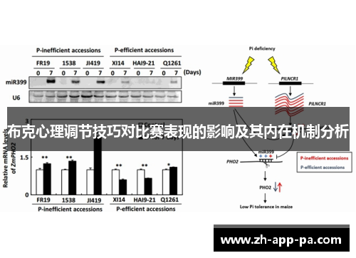 布克心理调节技巧对比赛表现的影响及其内在机制分析