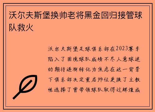 沃尔夫斯堡换帅老将黑金回归接管球队救火