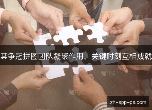 某争冠拼图团队凝聚作用,关键时刻互相成就 某争冠拼图团队凝聚作用,关键时刻互相成就